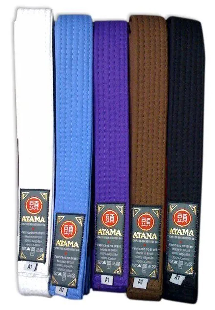BJJ Gurtsystem im Überblick